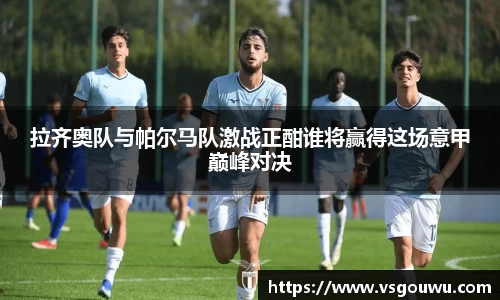 拉齐奥队与帕尔马队激战正酣谁将赢得这场意甲巅峰对决