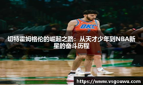 乐发Vl